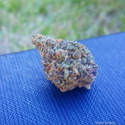 stonedreviews420:  #BlackCherrySoda ✴🍒🍾