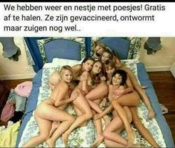 fransie501:  Lik mijn geschoren kontje  graag