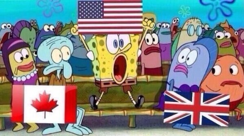 michaelcliffuckcanada:  5sosexiness:  hemmohfuck:  me rn  America is literally spongebob 24/7  WHY DOES THIS HAVE OVER 600 NOTES WTF 