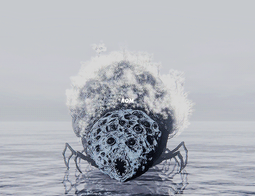 The Spider Hides All Manner Of Rituals, Certain To Reveal Nothing, For True Enlightenment Need Not Be