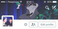 bambi-layouts:  ✧ like/reblog if you save,