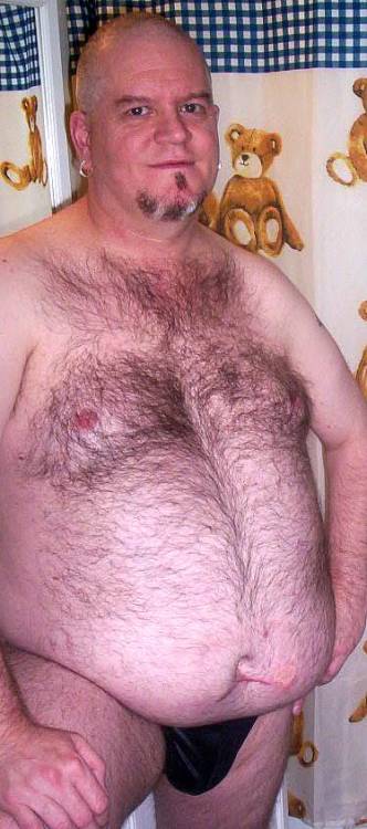 Hollandbear