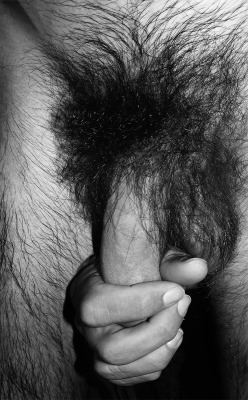 Hairy GAY