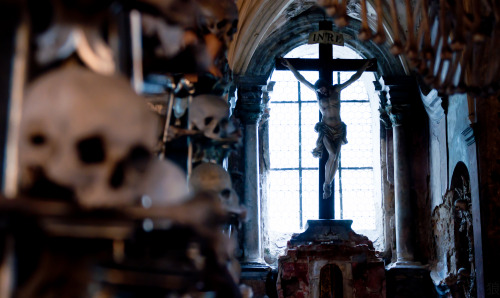 syotos-x:  40,000 souls Sedlec Ossuary Sedlec, Kutná adult photos