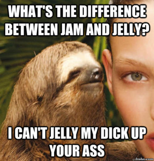 sloth meme