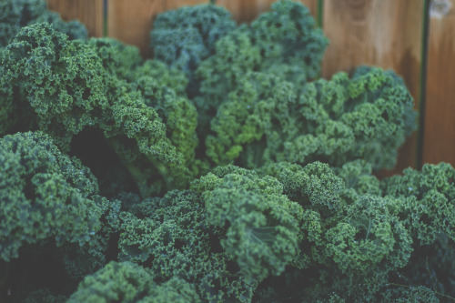 So much kale.