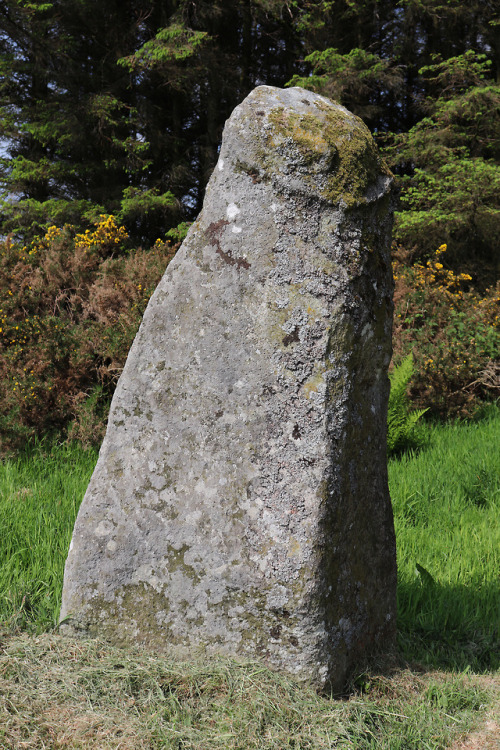 Aikey Brae Stone Circle, near Old Deer, Scotland, 2.6.18.A recumbent stone circle built in the 3rd m