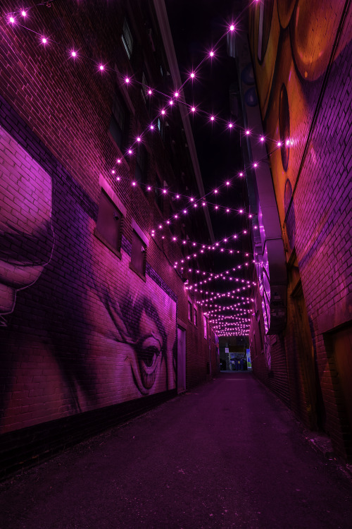 patgavin: Purple AlleySalem, Massachusetts