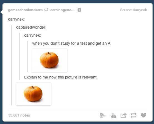Not A Dream, Tumblr Lore