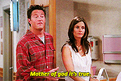 andysollie:Friends Appreciation WeekDay 4 - Favorite Scenes: Every time Janice showed up”Why do you 