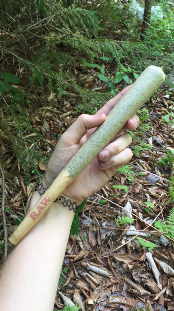 shay-gnar:  a ridiculously huge joint someone had at the festival 