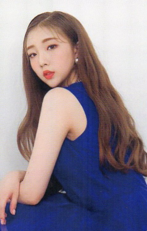 12loona:[SCANS] 2020 LOONA 1st Season’s Greetings - Photocard Sets (cr: zoozeopking)