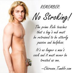 chirenon:Remember the No Stroking Rule, boys,
