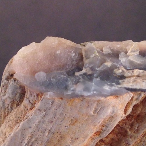 rrareearthh:Petrified wood with cool blue chalcedony from a creek in Columbia County, Oregon. Octobe
