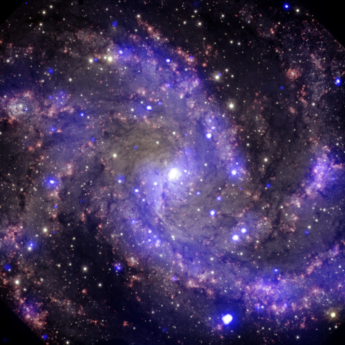 spaceplasma: NGC 6946: NGC 6946 is a medium-sized, face-on spiral galaxy about 22 million light year