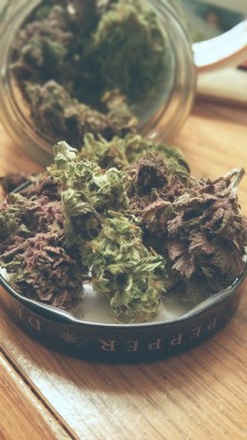 smokemeamor:Purple bud green bud smoke it all bud bud 👌 
