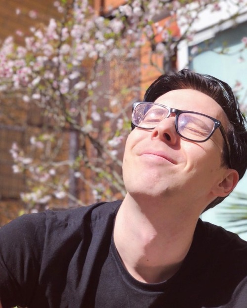 amazingphil:We had the first sunny day of spring in London! Our cherry blossom decided to bloom and 