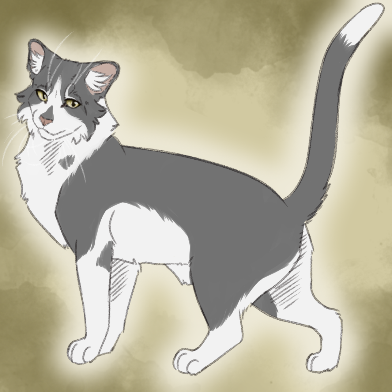 Slugs genetically accurate cats — Ashfur redo (Blue spotted tabby with low  white