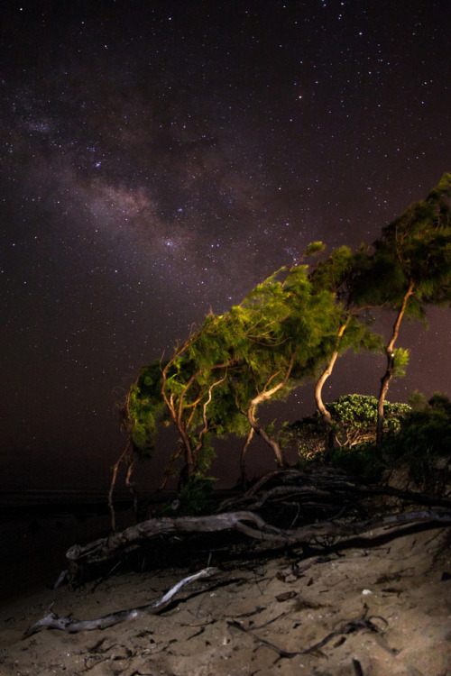 Milky Way On Kauai Beach 