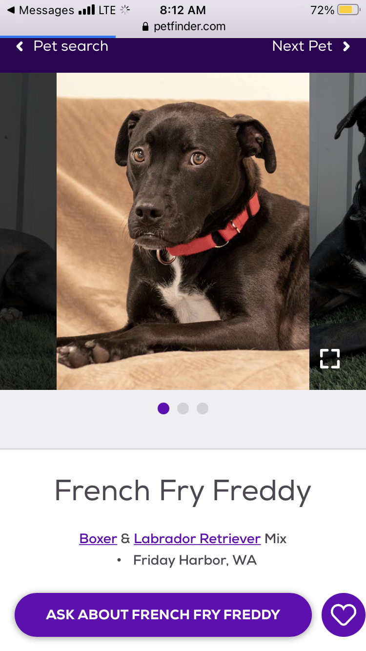 Funny Pet Names Found On The Internet funny-pet-names-found-on-the-internet