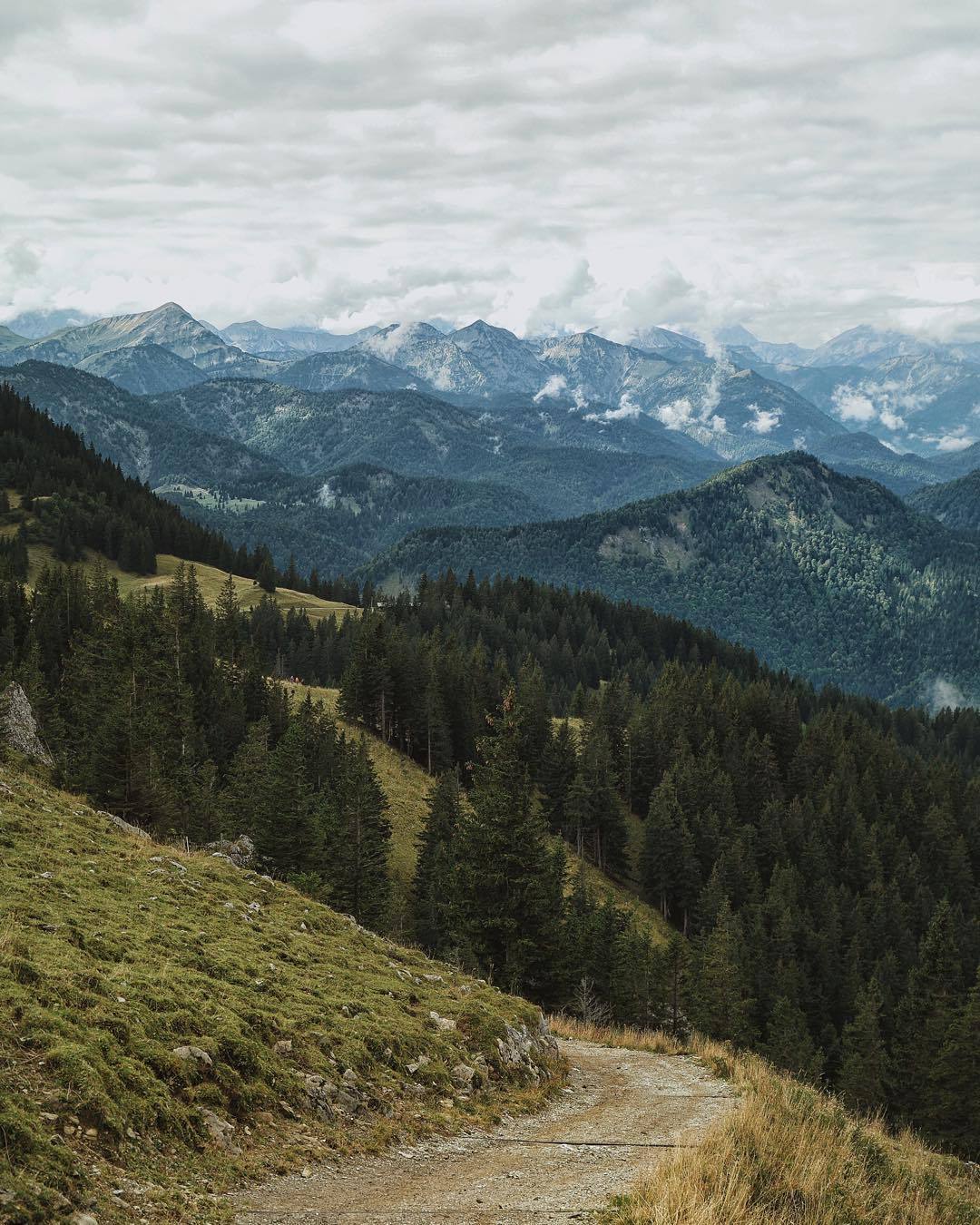 bon&mdash;-voyage:  Tim Landis