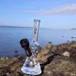 silikaglass:  Silika AG-10 thanks to Young Seattle for the pic.