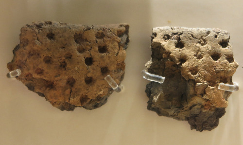 Prehistoric stone tools, rock art, shale bangles, flints and decorated pot fragments, Stranraer Muse