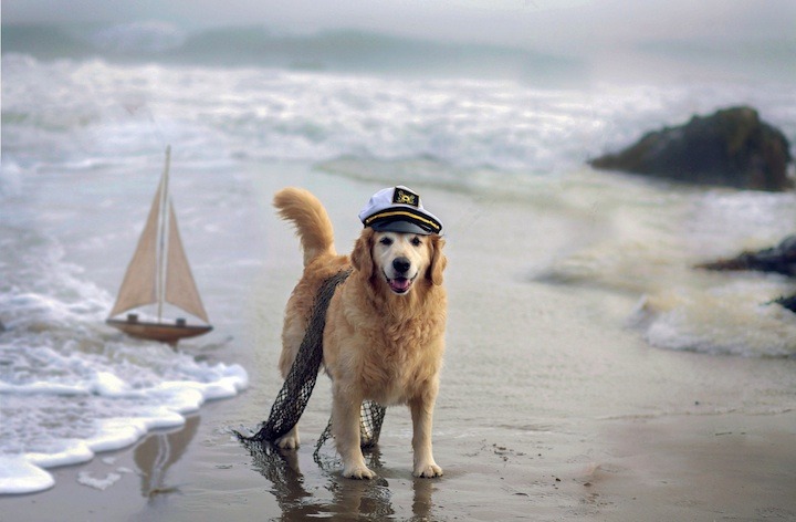 sailorboy1264:  Yo………………….