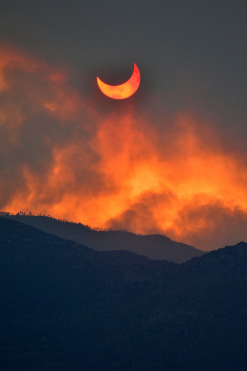 e4rthy:Annular eclipse seen through smoke from the Arizona wild fires by Melissa McCollum