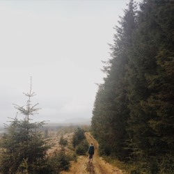 diaryofmatthew:  Recently went on a trip up to the north of Scotland, endless trails to explore up there! 