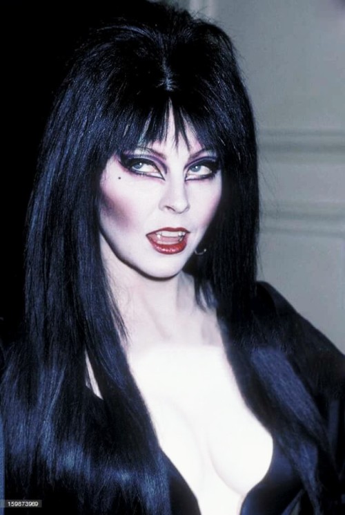 Elvira Mistress Of The Dark