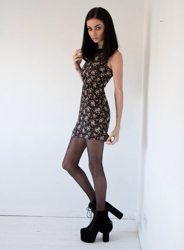 Felice fawn