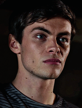 00c8b19d3d0236e65491a16405fa282c97f0ffc3.gif