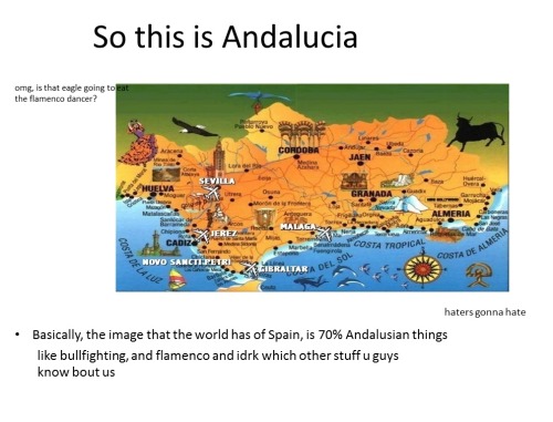 fallenrohirrim:  i should be studying, but here you have all you need to know about andalucia  I LIVE THERE XDDDDDD BANDOLEROOO(8)