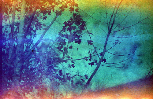 Cross-processed Svema CO-50D expired in 1994 // Leica M5