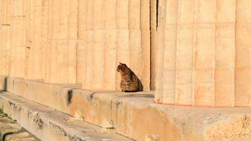 winedark:Temple of Hephaestus, Athens, Greece.Photos by me.