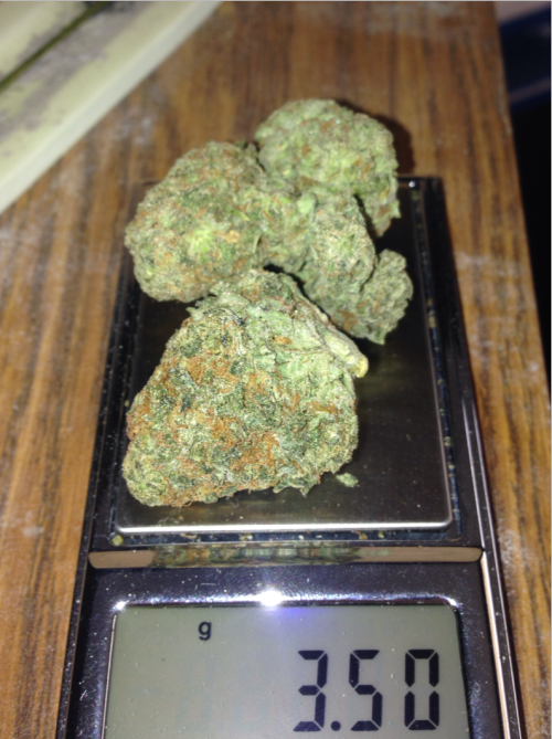 bongmeblazer:  1/8
