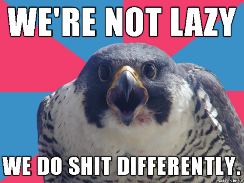 ithelpstodream:The Millenial Falcon is my new favourite meme.