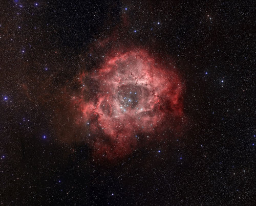 the-wolf-and-moon: NGC 2244, Rosette .