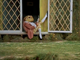 This Is Exactly What I Look Like When I Open This Webbed Site And Read Ya'lls Posts