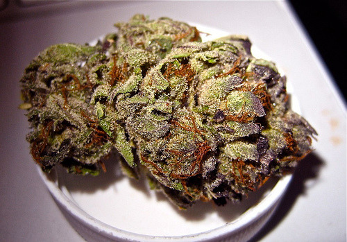 Smells Like Bong Water