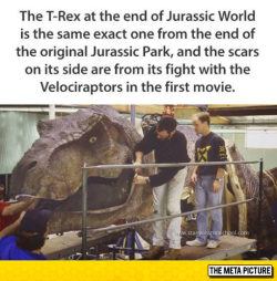srsfunny:For All The Jurassic World Fans Out There &hellip; this fact should have been just written on the fucking screen in the movie&hellip; being that its so fantastically epic&hellip;  XD