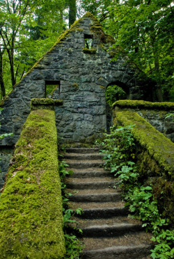 abandonedandurbex:  Abandoned dwelling in the deep forest by Wayne Grazio  Source: https://imgur.com/oEwM7Vj 