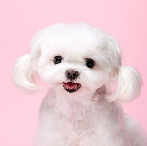 pinkcream:www.instagram.com/p/Bx8ZtpFnx69