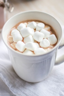 Fullcravings:  Homemade Hot Cocoa Mix