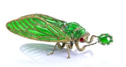 gemville: “Stilled Life” Cicada Brooch