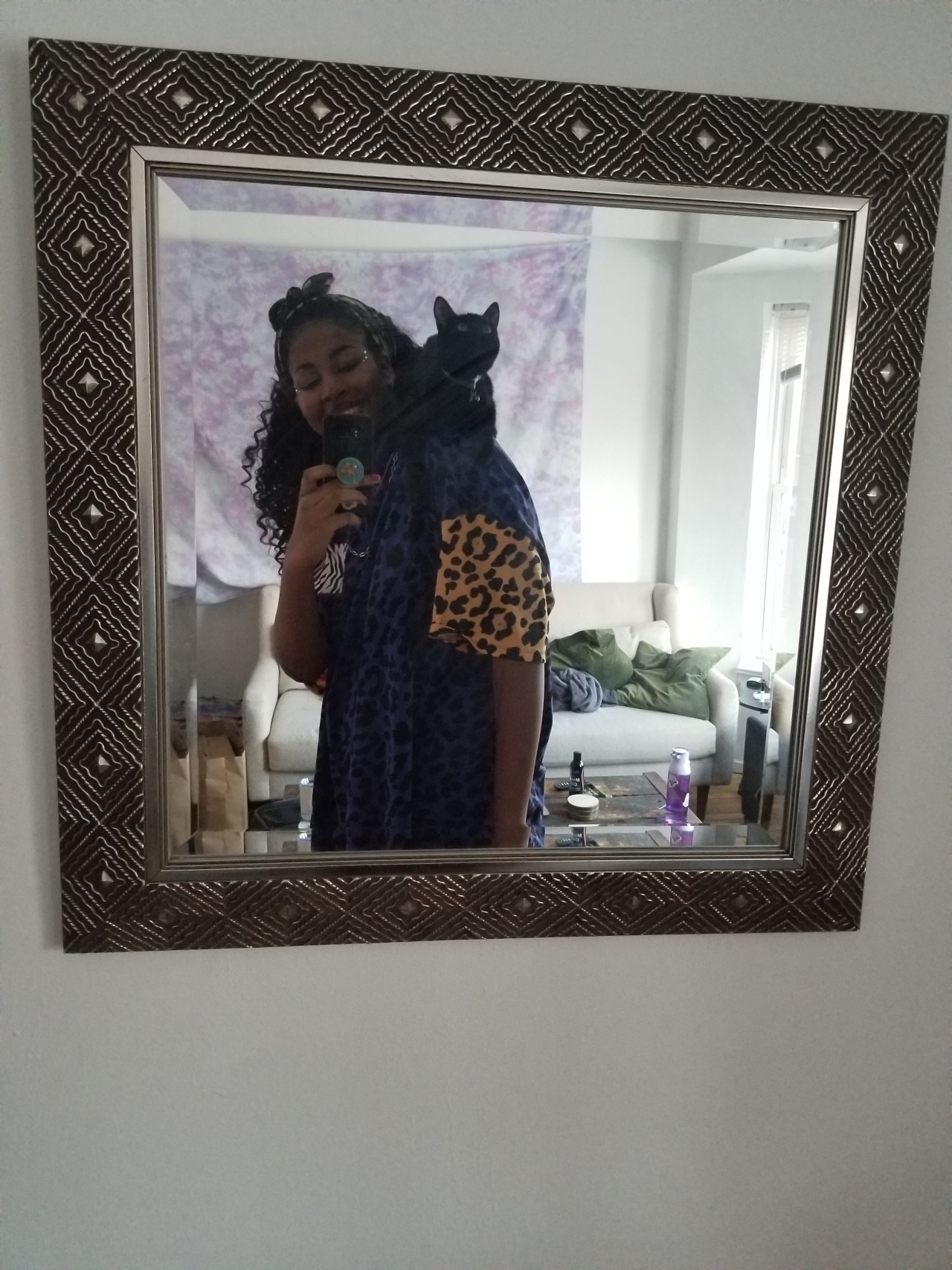 My roommate trained their kitty to sit on ppls shoulder’s and now she’s like a little familiar 😭🥰