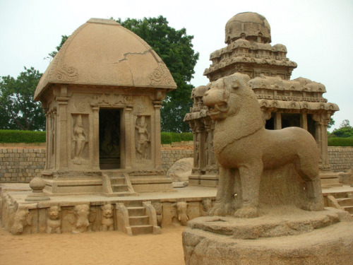 Draupadi Ratha and Nakula Sahadeva Ratha (Mahabalipuram, India).  A 1.8m-high stone lion, which the 
