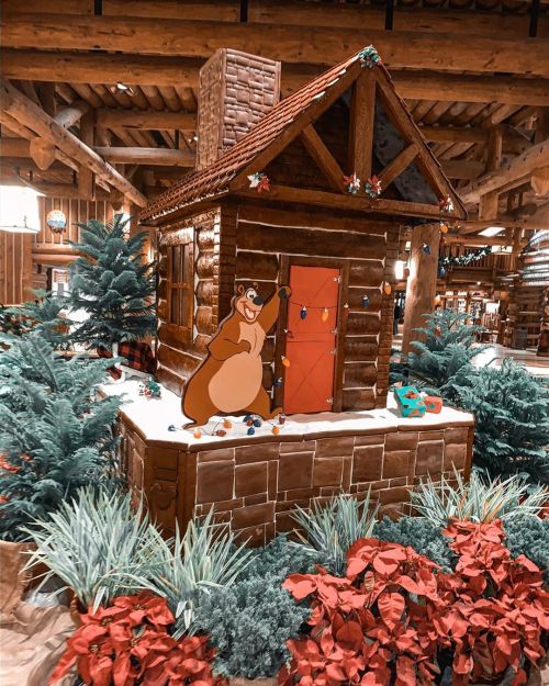 Check out this adorable gingerbread cabin that has been constructed in the Wilderness Lodge lobby! S