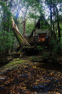 the-coven-witches:i-heart-a-frames:listen to the wind in the leaves  I want a little house like this .-.